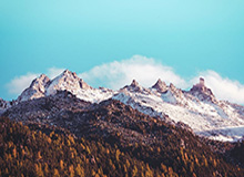 赛事服务-去你的篮球梦！文班大帽球迷，随后在其头上完成炸裂隔扣